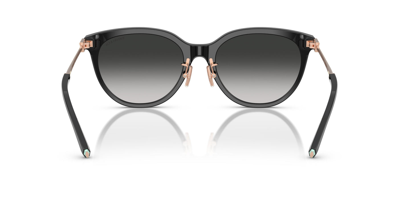 Gafas de Sol Tiffany TF4243D 80013C 55 19
