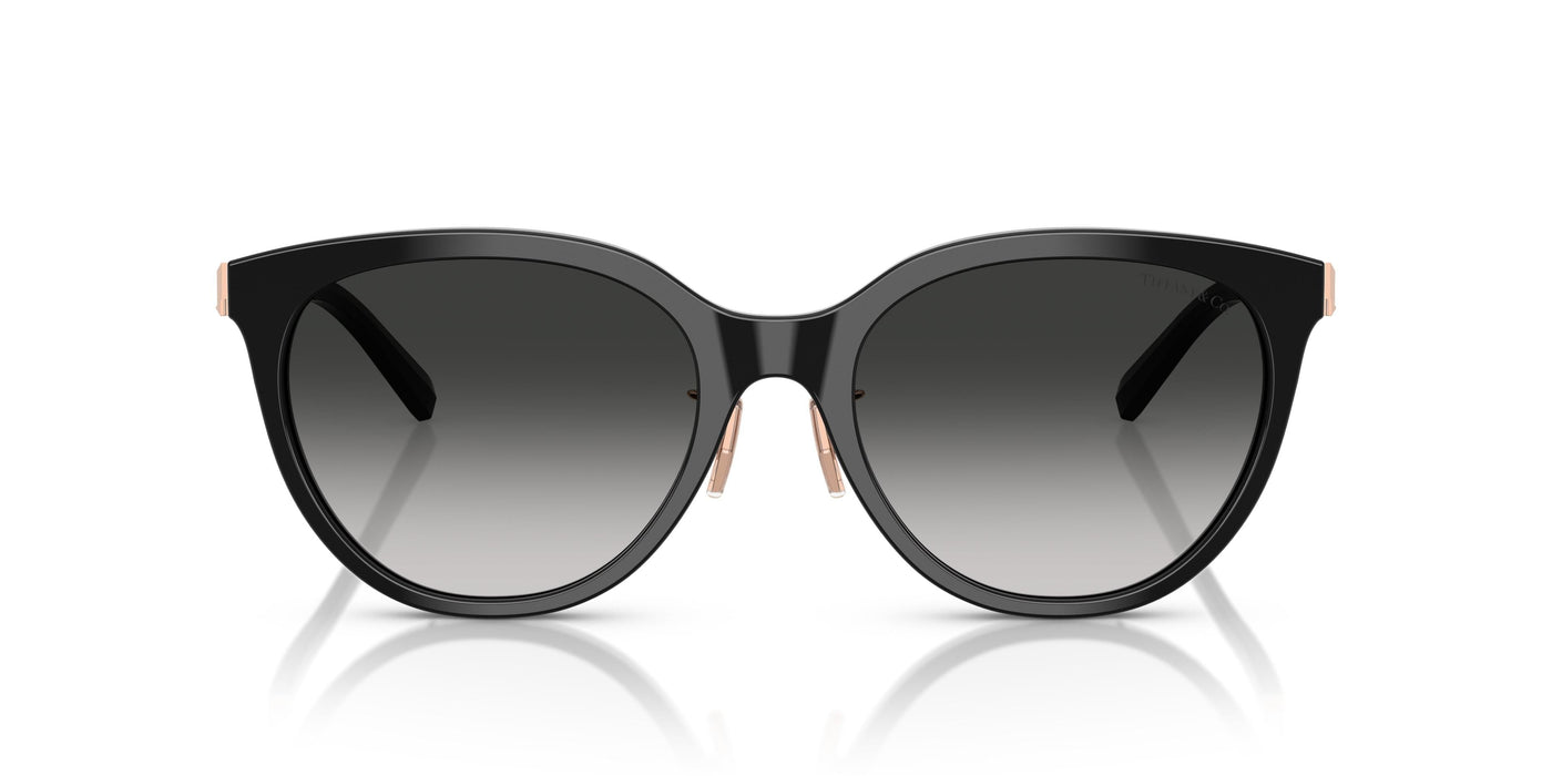 Gafas de Sol Tiffany TF4243D 80013C 55 19