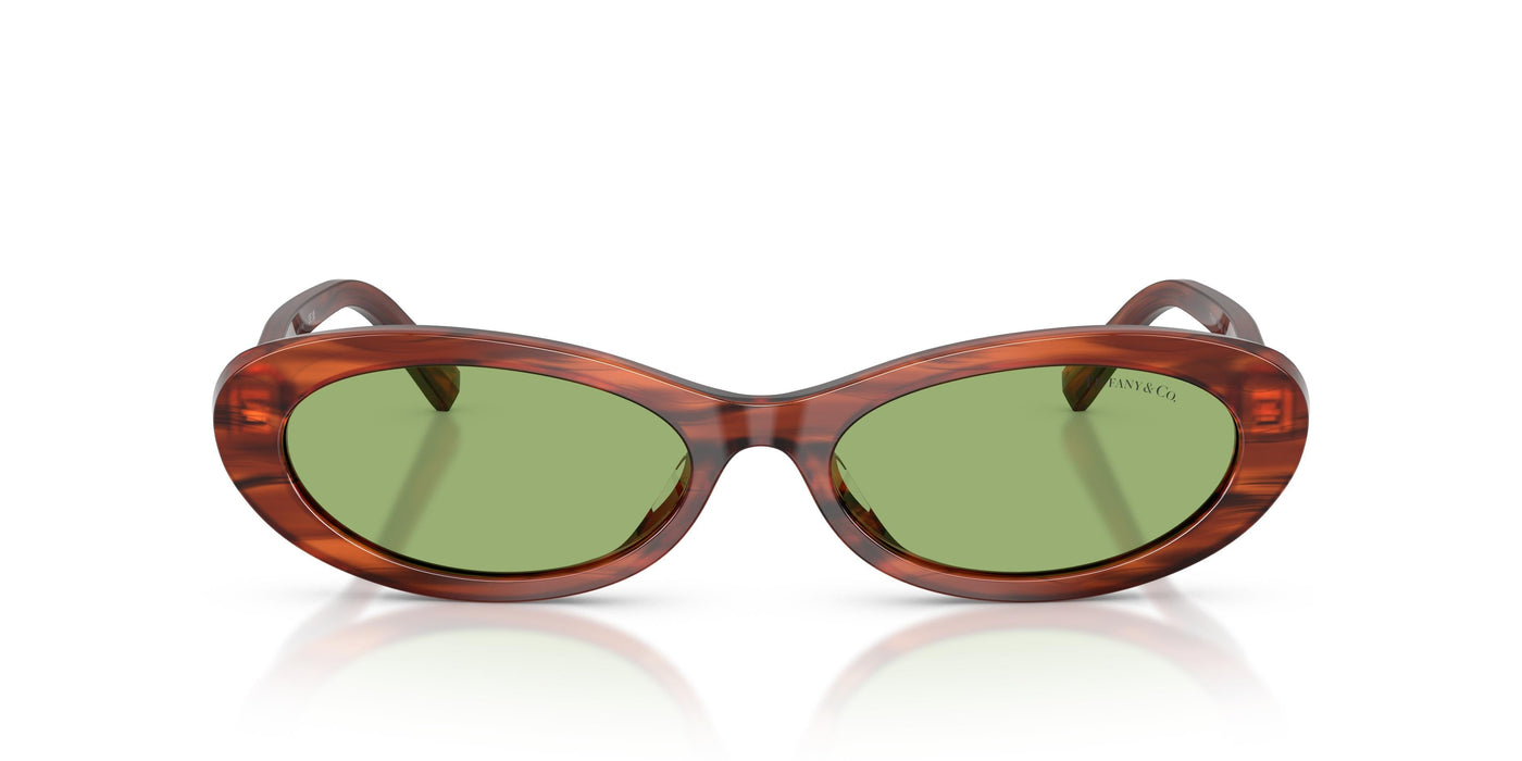 Gafas de Sol Tiffany TF4250 8440/2 56 17