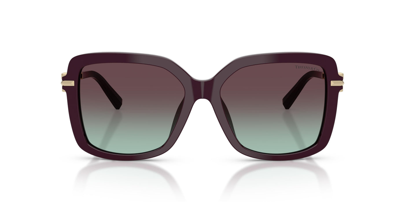 Gafas de Sol Tiffany TF4252B 8427V7 55 16