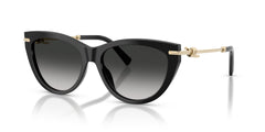 Sunglasses Tiffany TF4253 80013C 55 16