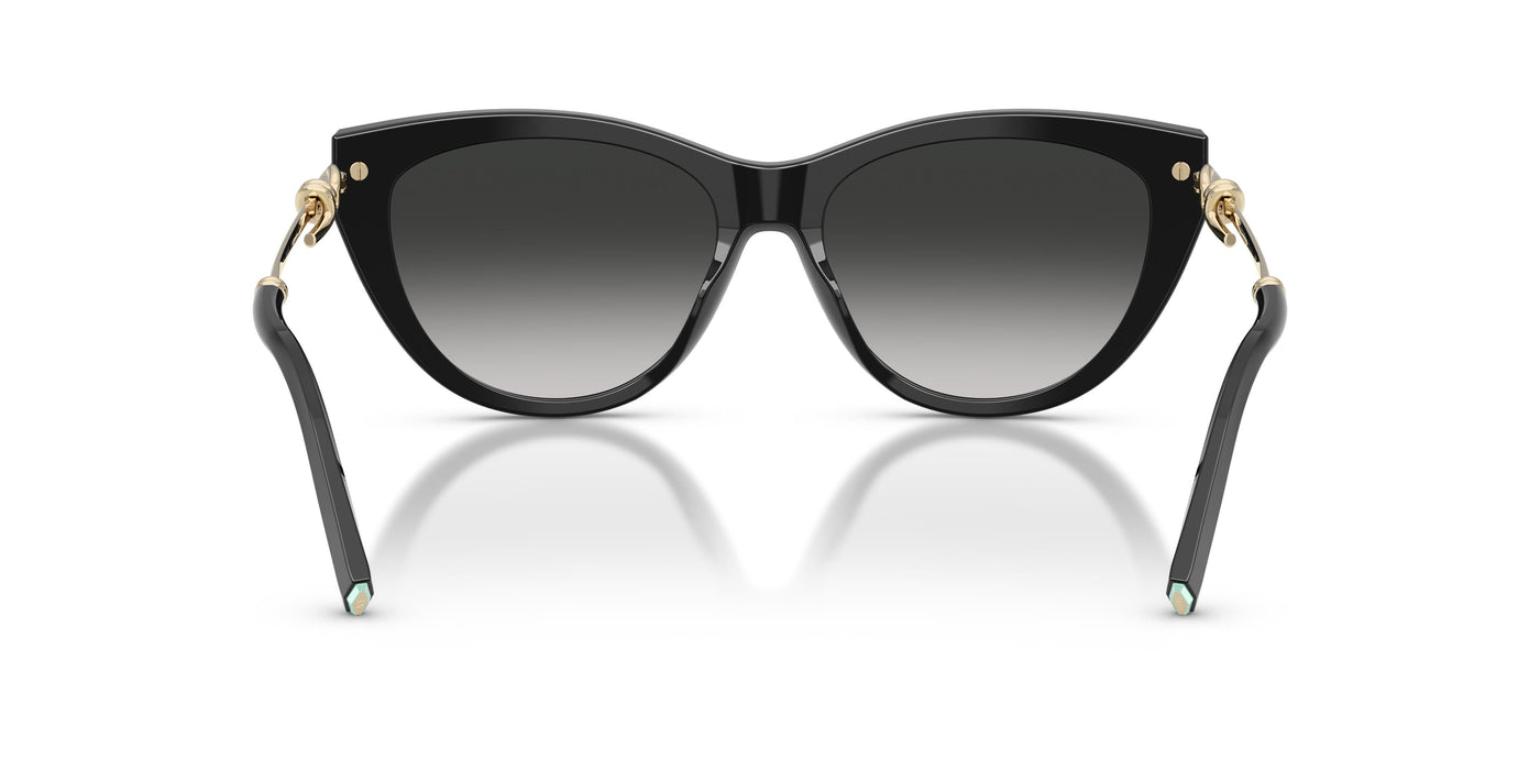 Gafas de Sol Tiffany TF4253 80013C 55 16