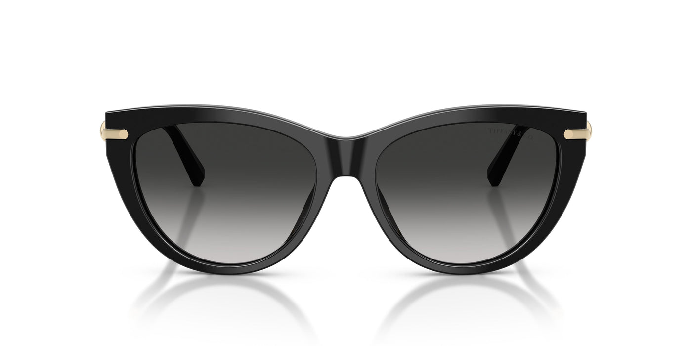 Gafas de Sol Tiffany TF4253 80013C 55 16
