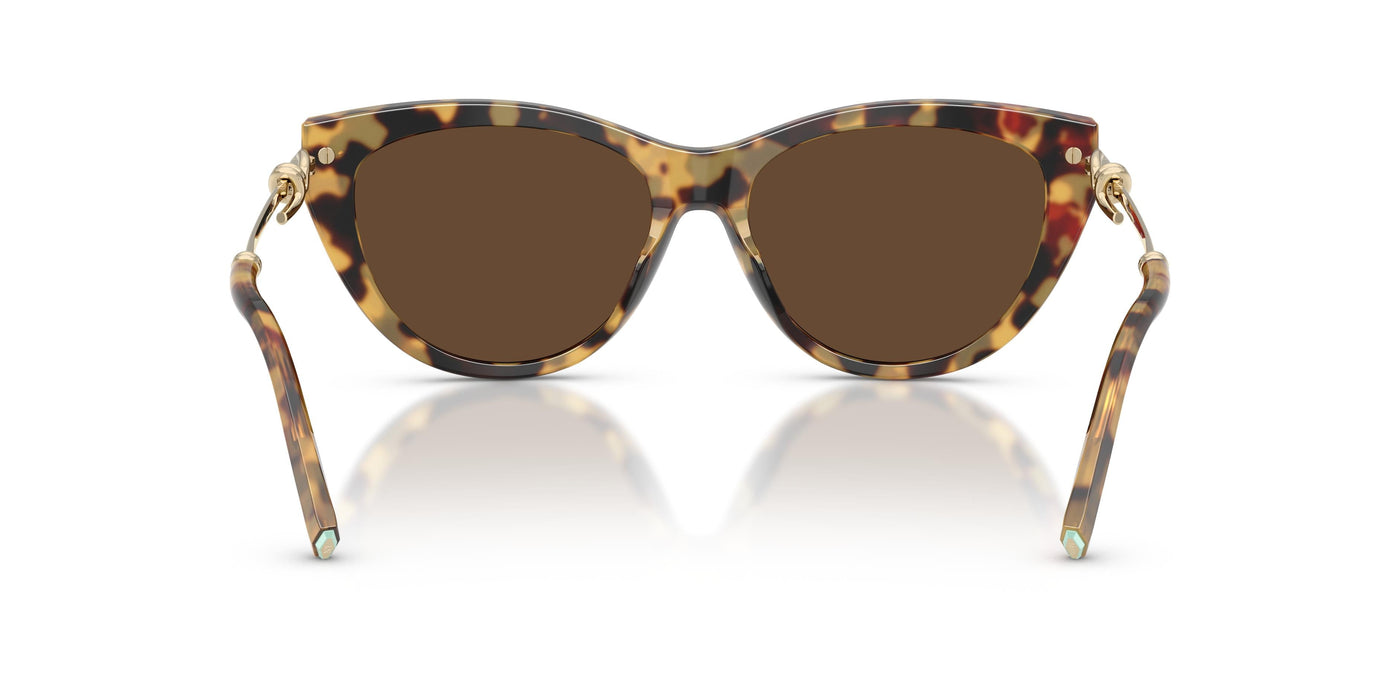 Gafas Graduadas Tiffany TF4253 80643G 55 16