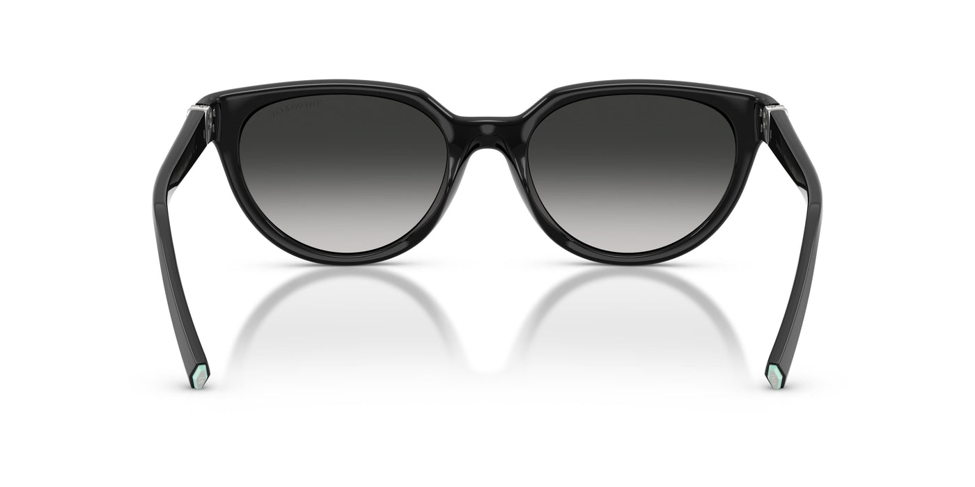 Gafas de Sol Tiffany TF4256D 80013C 55 19