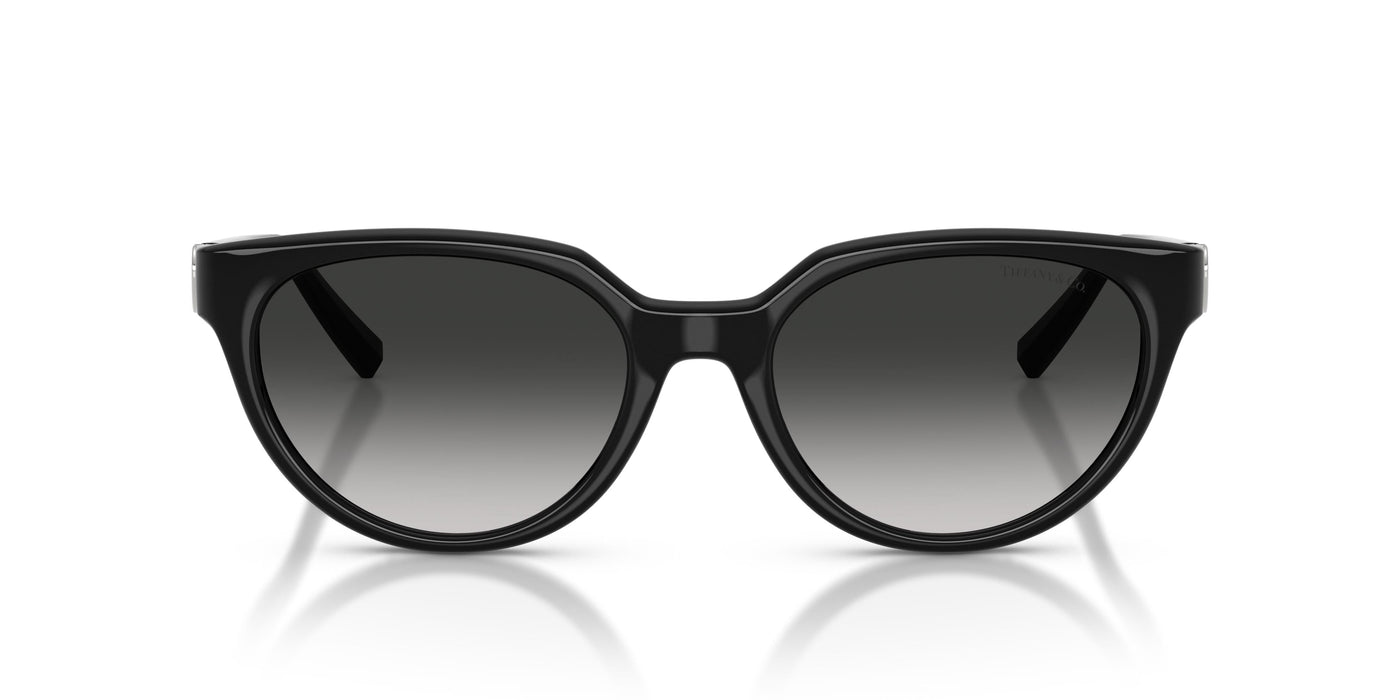 Gafas de Sol Tiffany TF4256D 80013C 55 19