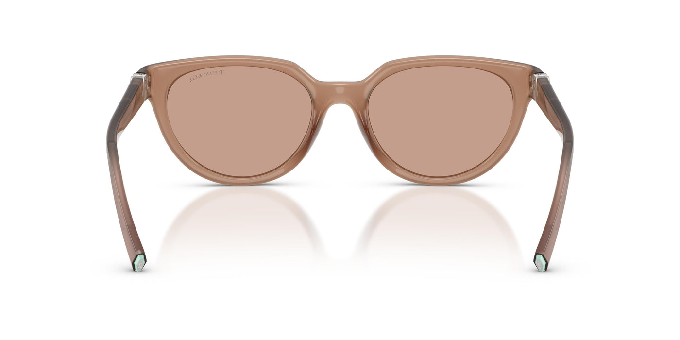 Gafas de Sol Tiffany TF4256D 844973 55 19