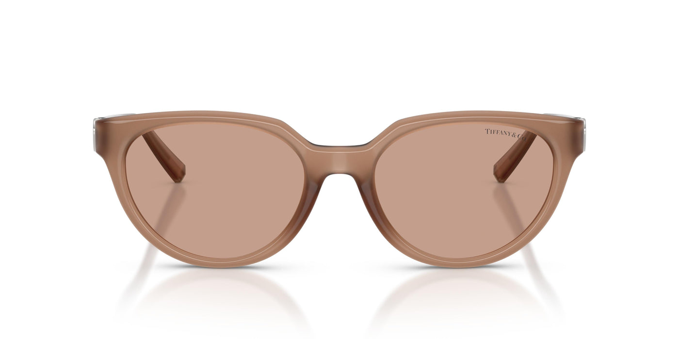 Gafas de Sol Tiffany TF4256D 844973 55 19