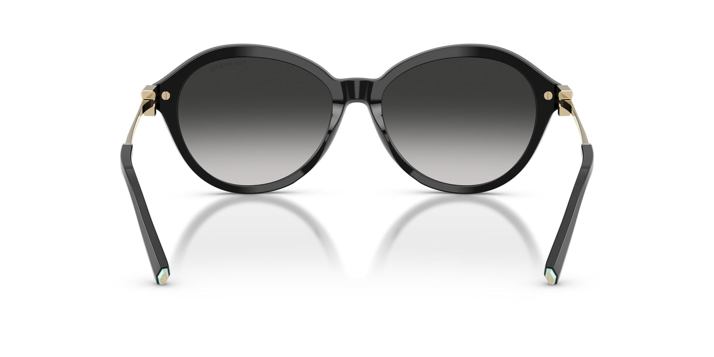 Gafas de Sol Tiffany TF4259 80013C 56 16