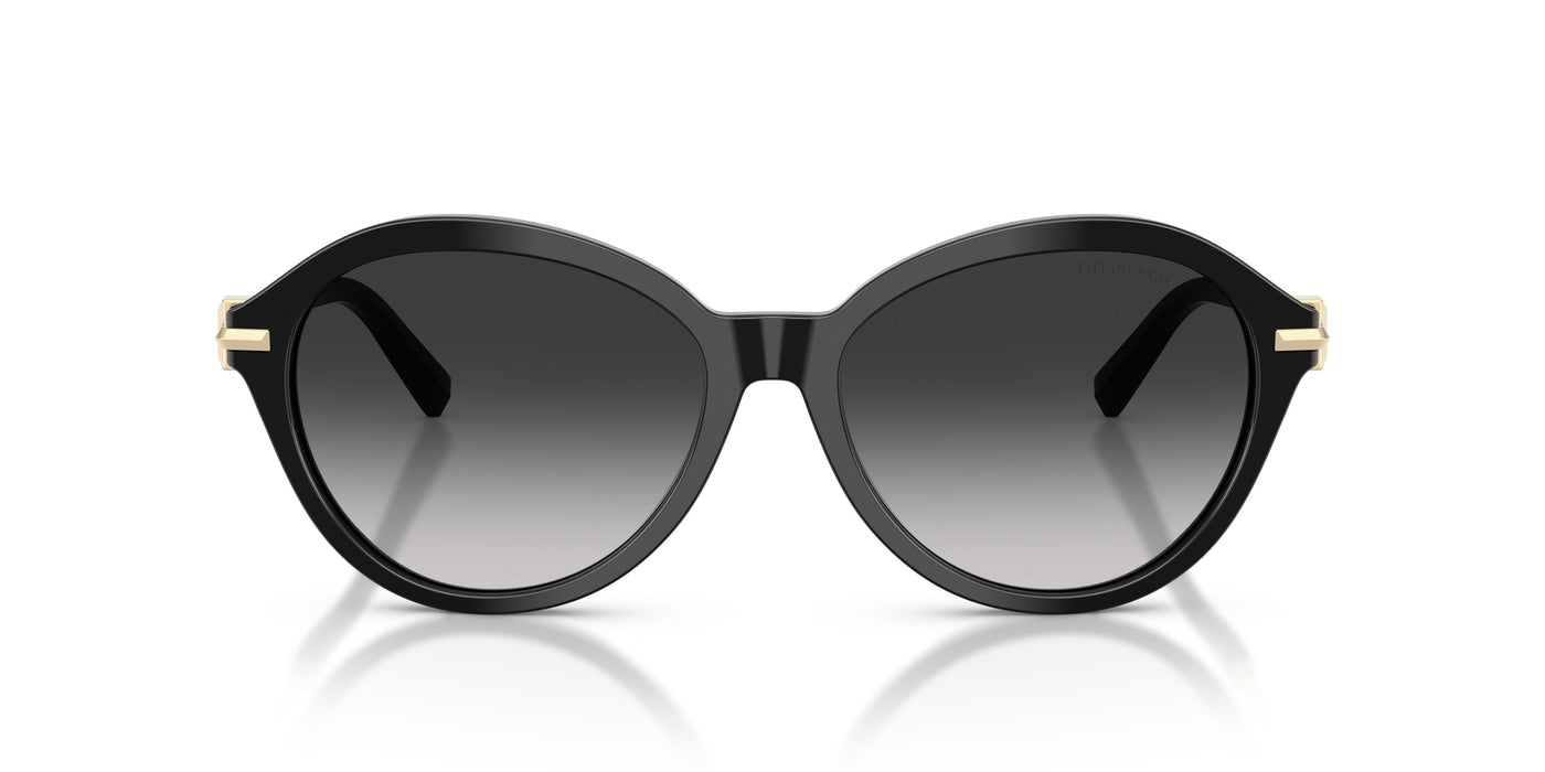 Gafas de Sol Tiffany TF4259 80013C 56 16