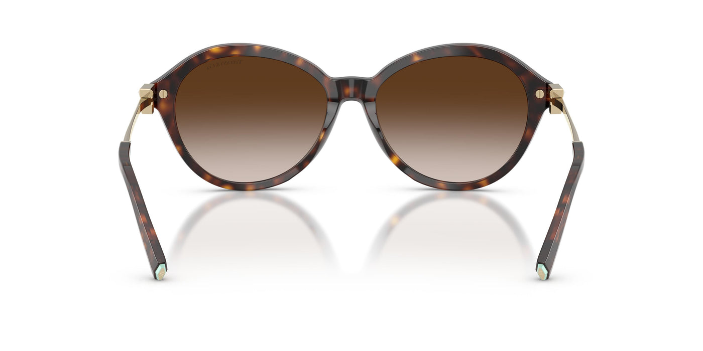Gafas de Sol Tiffany TF4259 80153B 56 16