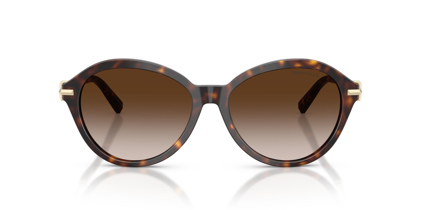 Gafas de Sol Tiffany TF4259 80153B 56 16