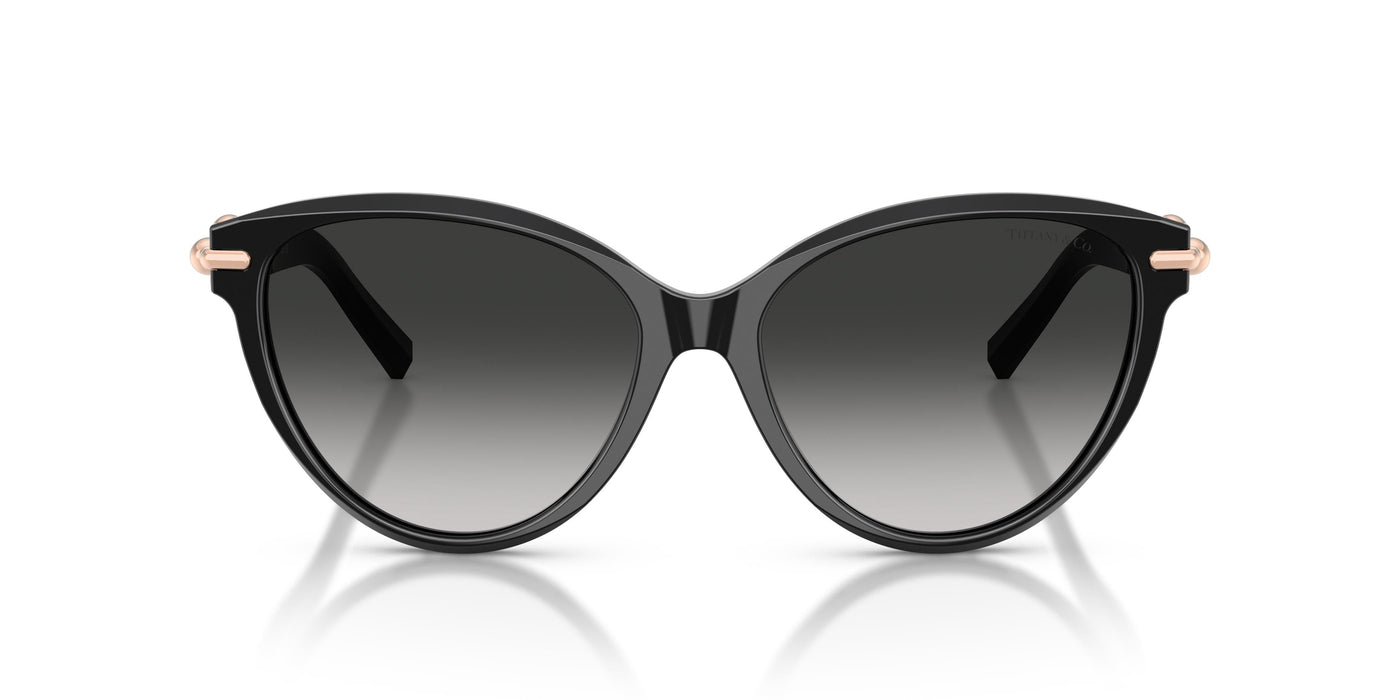 Gafas de Sol Tiffany TF4261 80013C 56 16