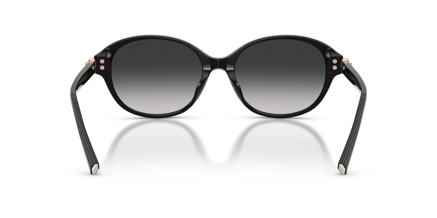 Gafas de Sol Tiffany TF4263D 80013C 54 17