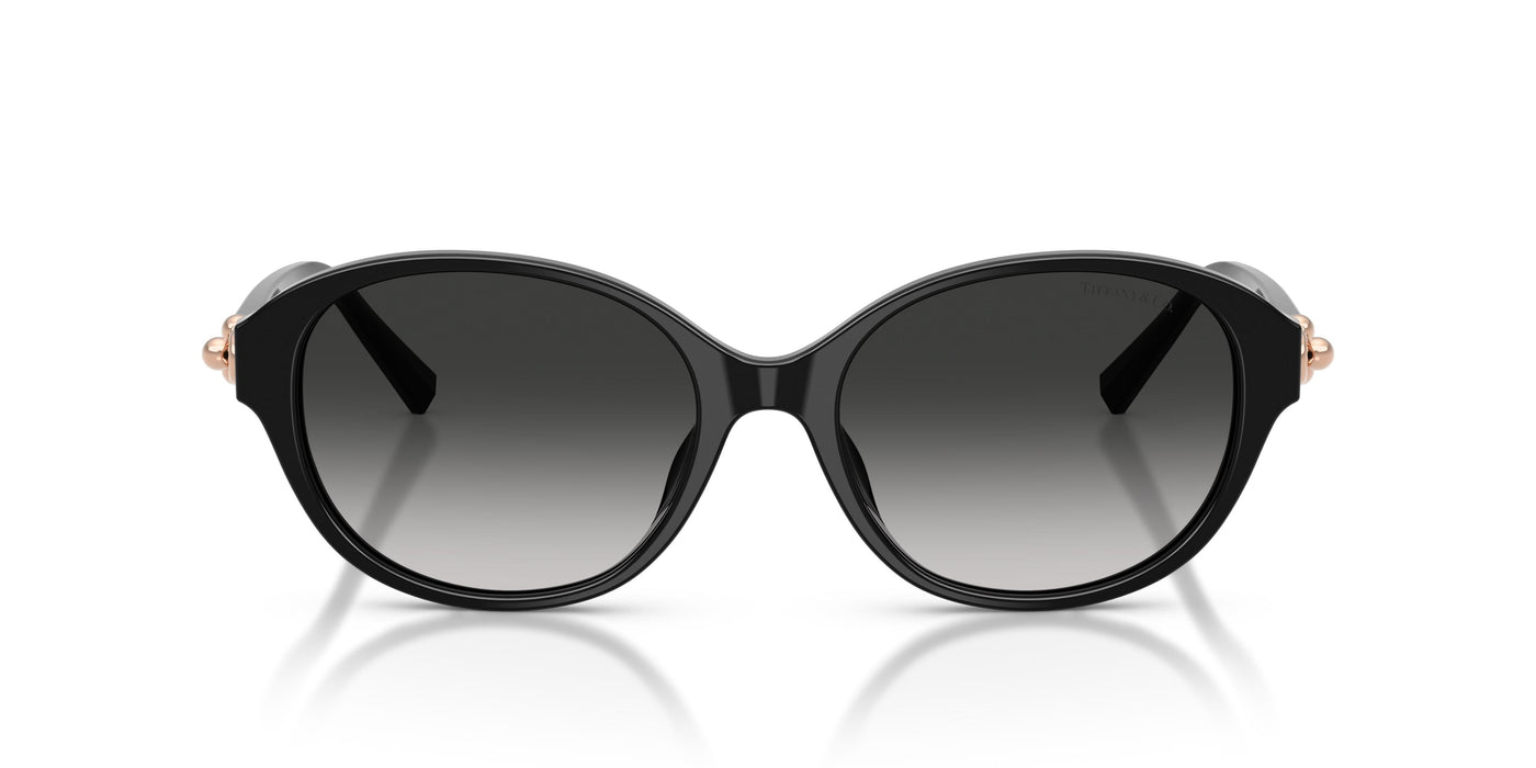 Gafas de Sol Tiffany TF4263D 80013C 54 17