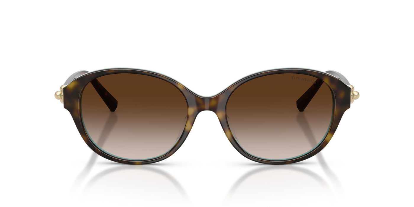 Gafas de Sol Tiffany TF4263D 81343B 54 17