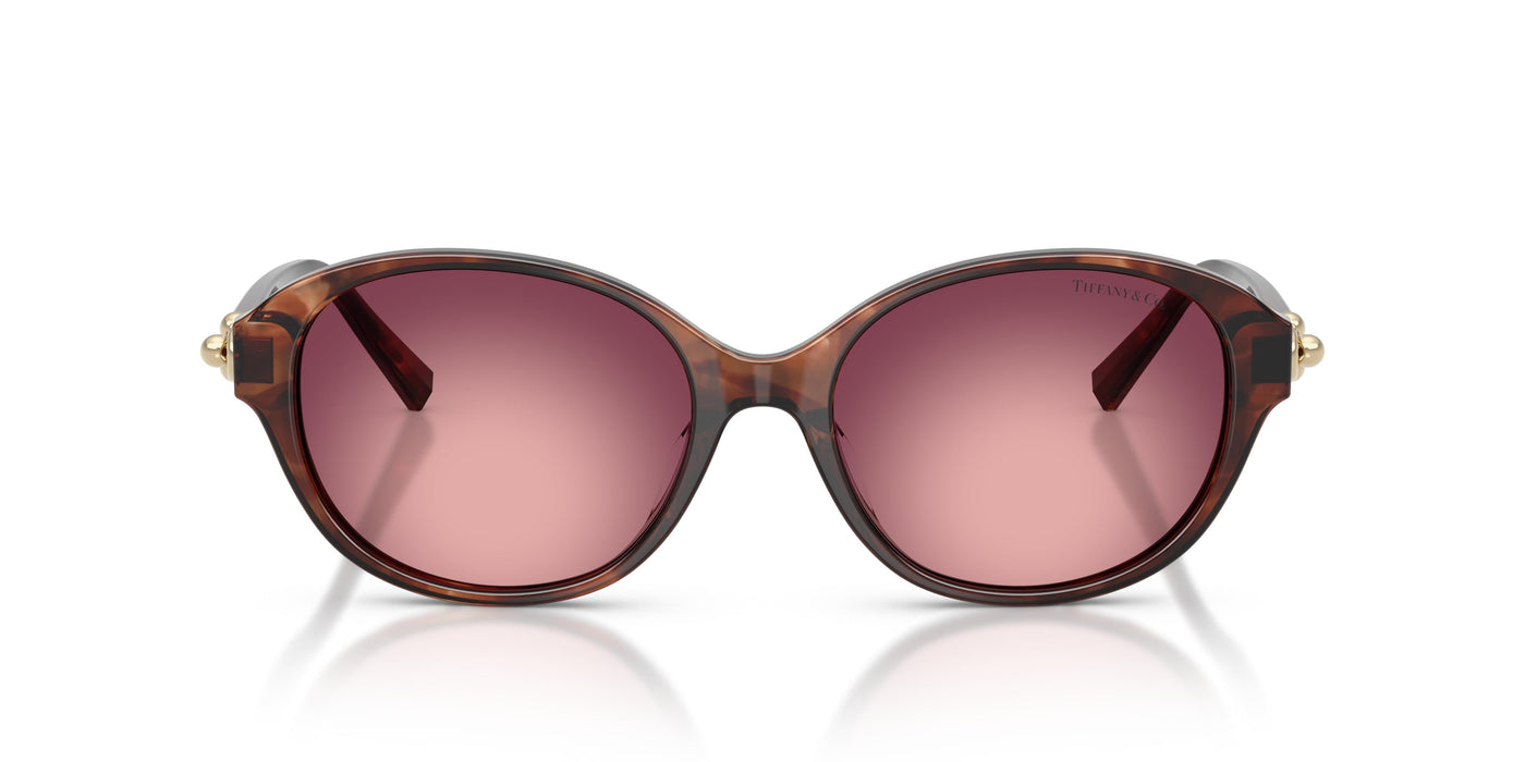 Gafas Graduadas Tiffany TF4263D 84218H 54 17