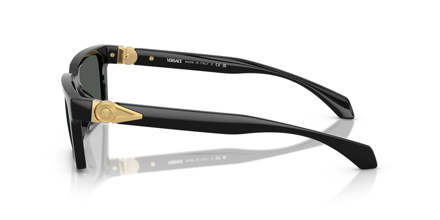 Sunglasses Versace VE4490U GB1/87 55 18