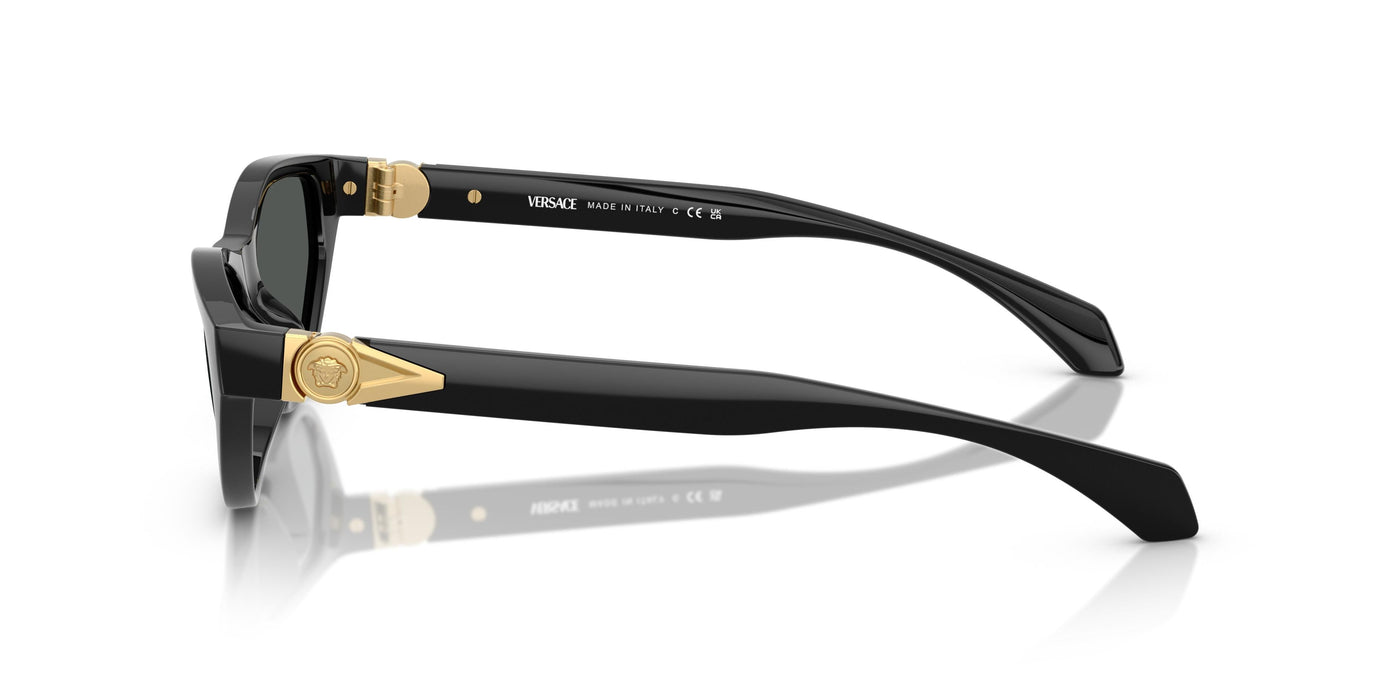 Gafas de Sol Versace VE4491U GB1/87 55 16