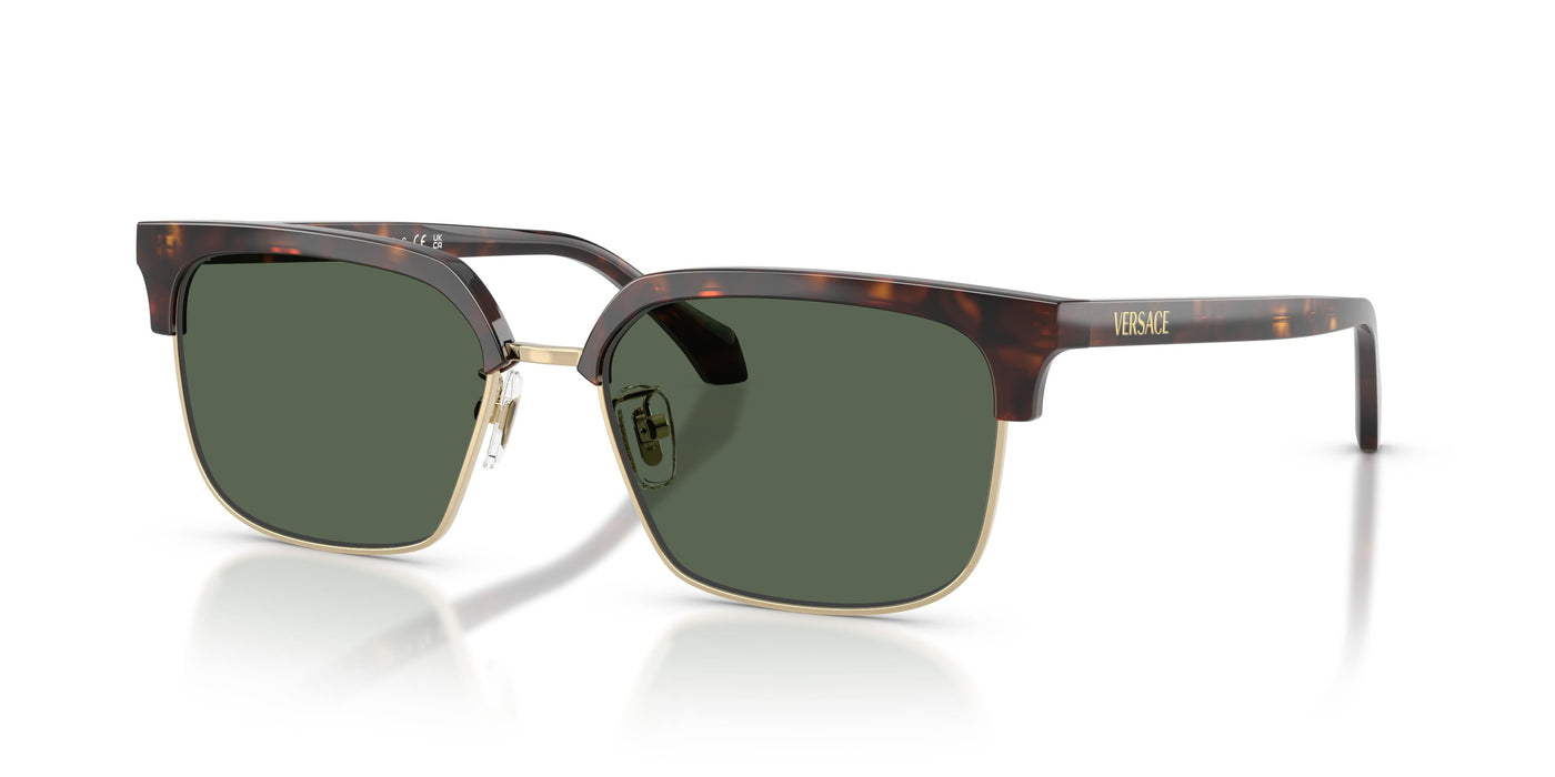 Gafas de Sol Versace VE4494D 108/71 56 17