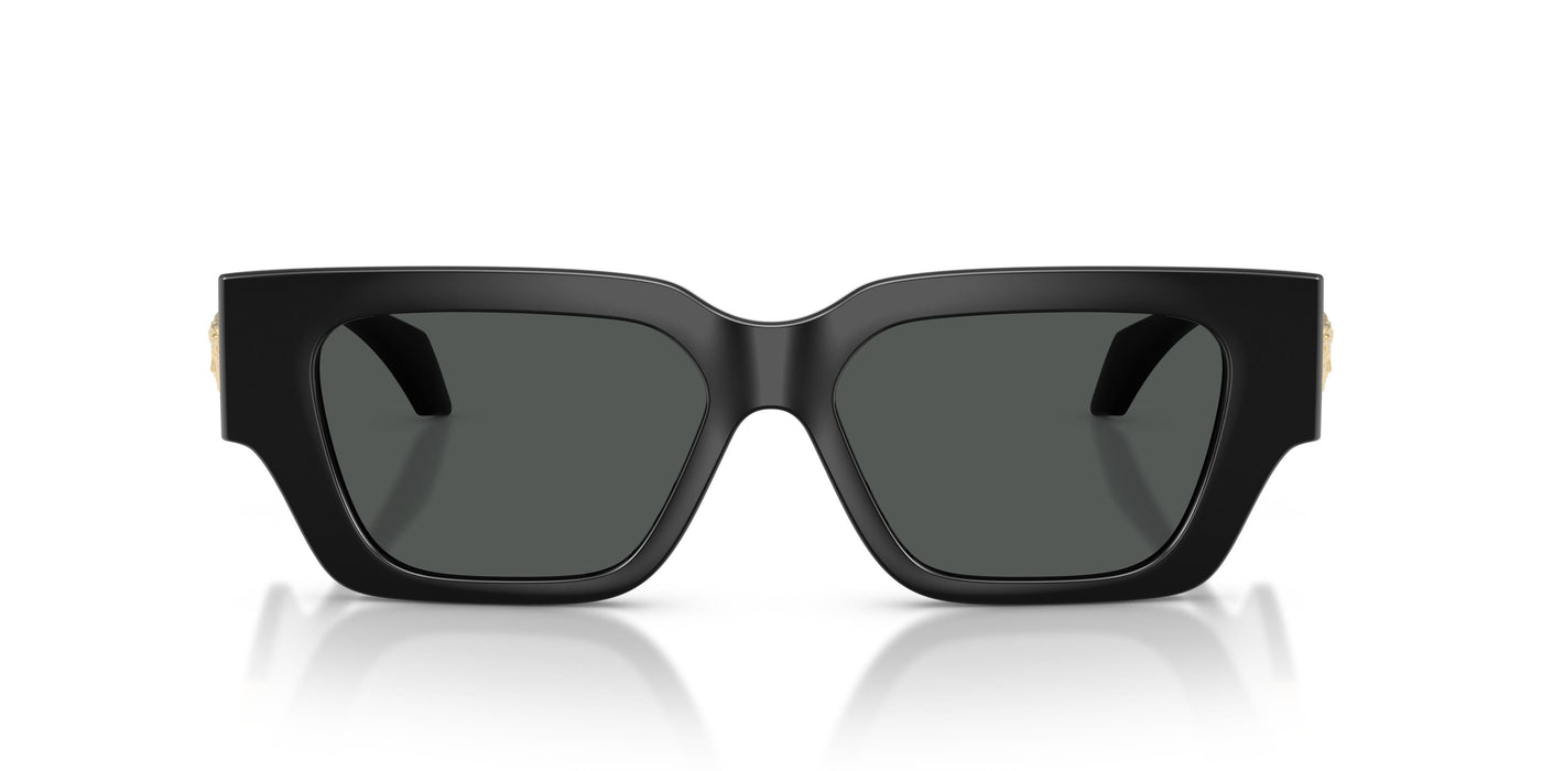 Gafas de Sol Versace VE4497U GB1/87 53 15