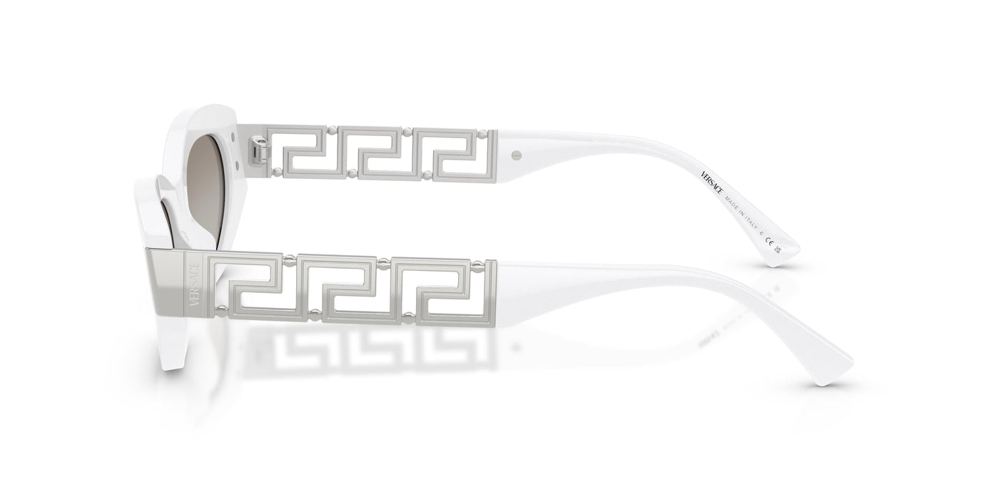 Gafas de Sol Versace VE4501 314/6V 54 19
