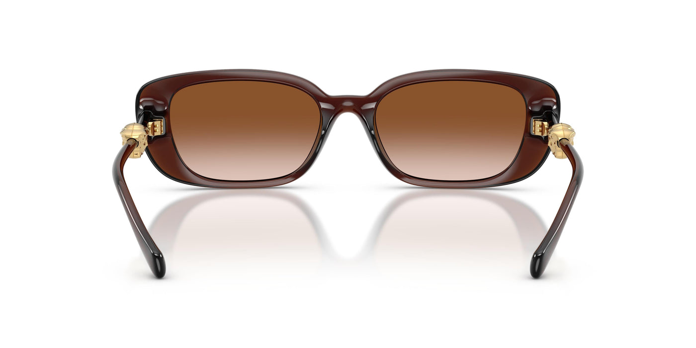 Gafas de Sol Versace VE4504D 533213 56 18