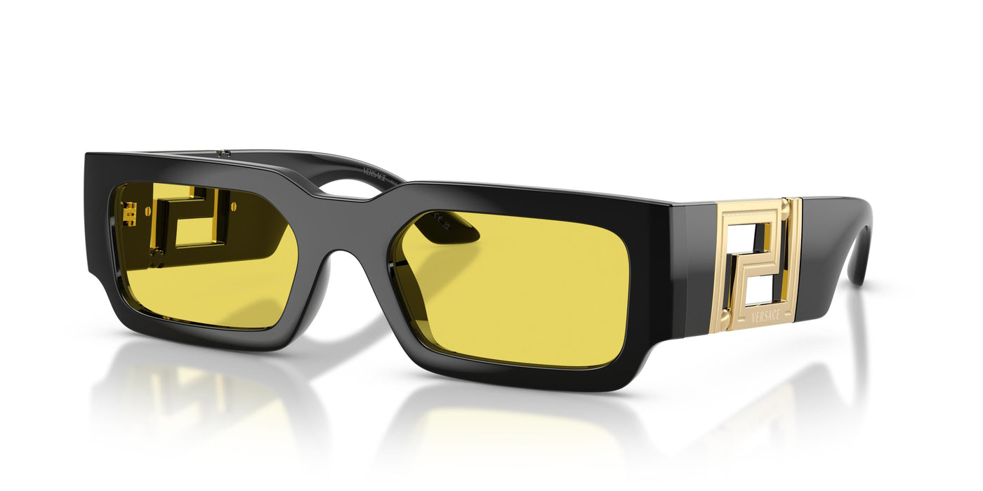 Gafas de Sol Versace VE4506U GB1/85 54 21
