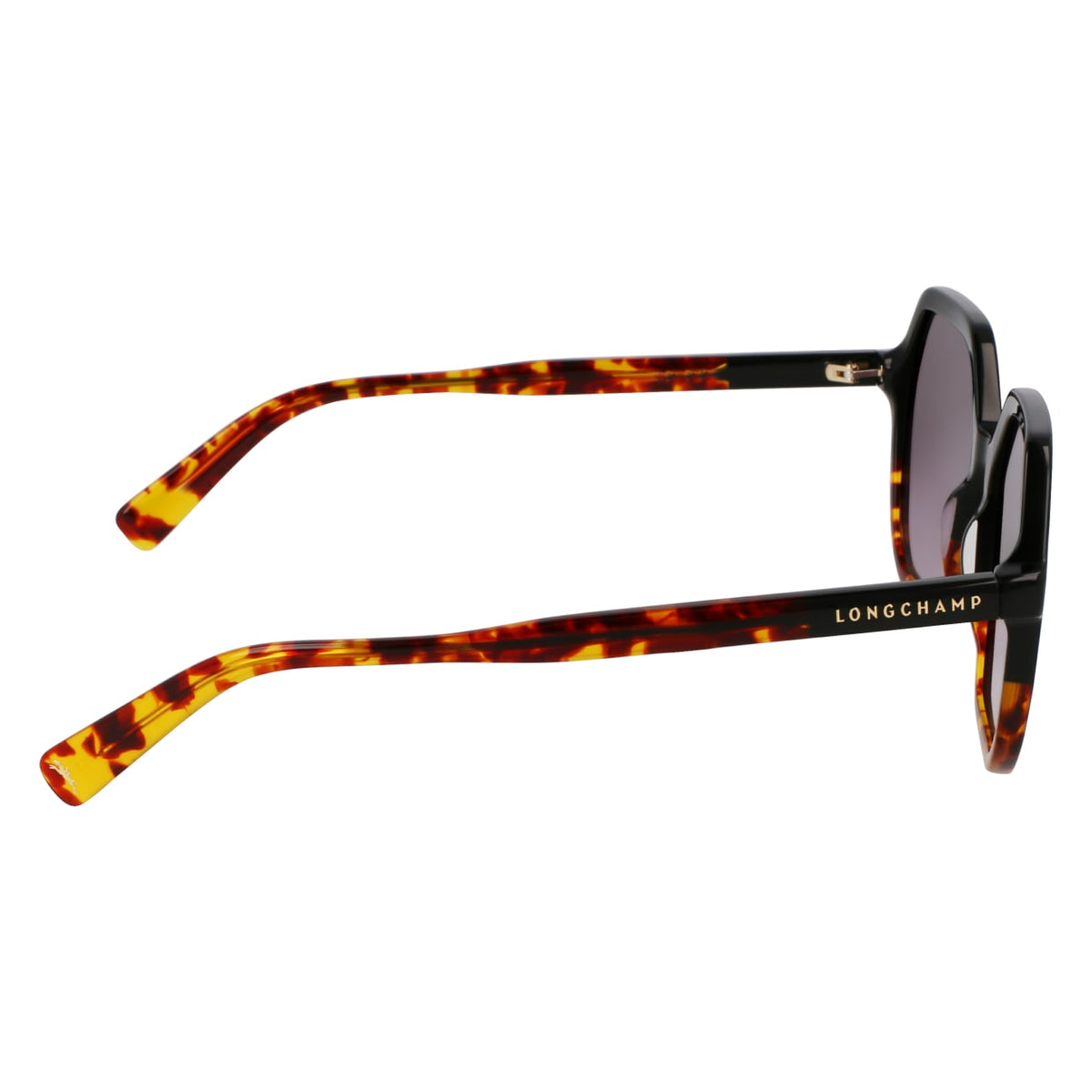 Gafas de Sol Longchamp LO760S 011 56 17