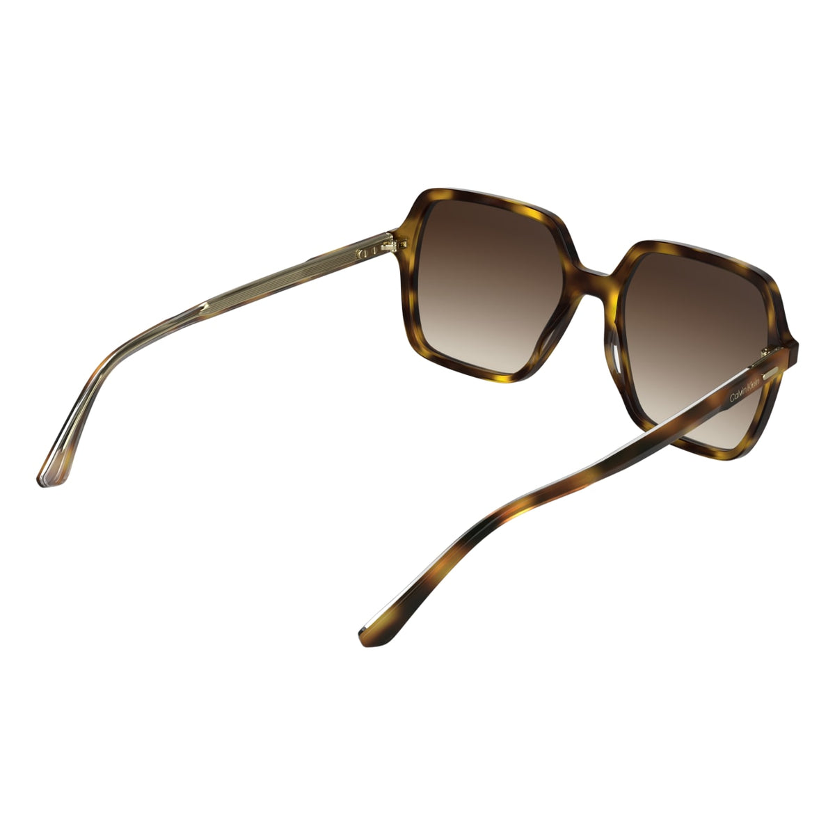 Gafas de Sol Calvin Klein (Ck) CK26531S 240 55 19