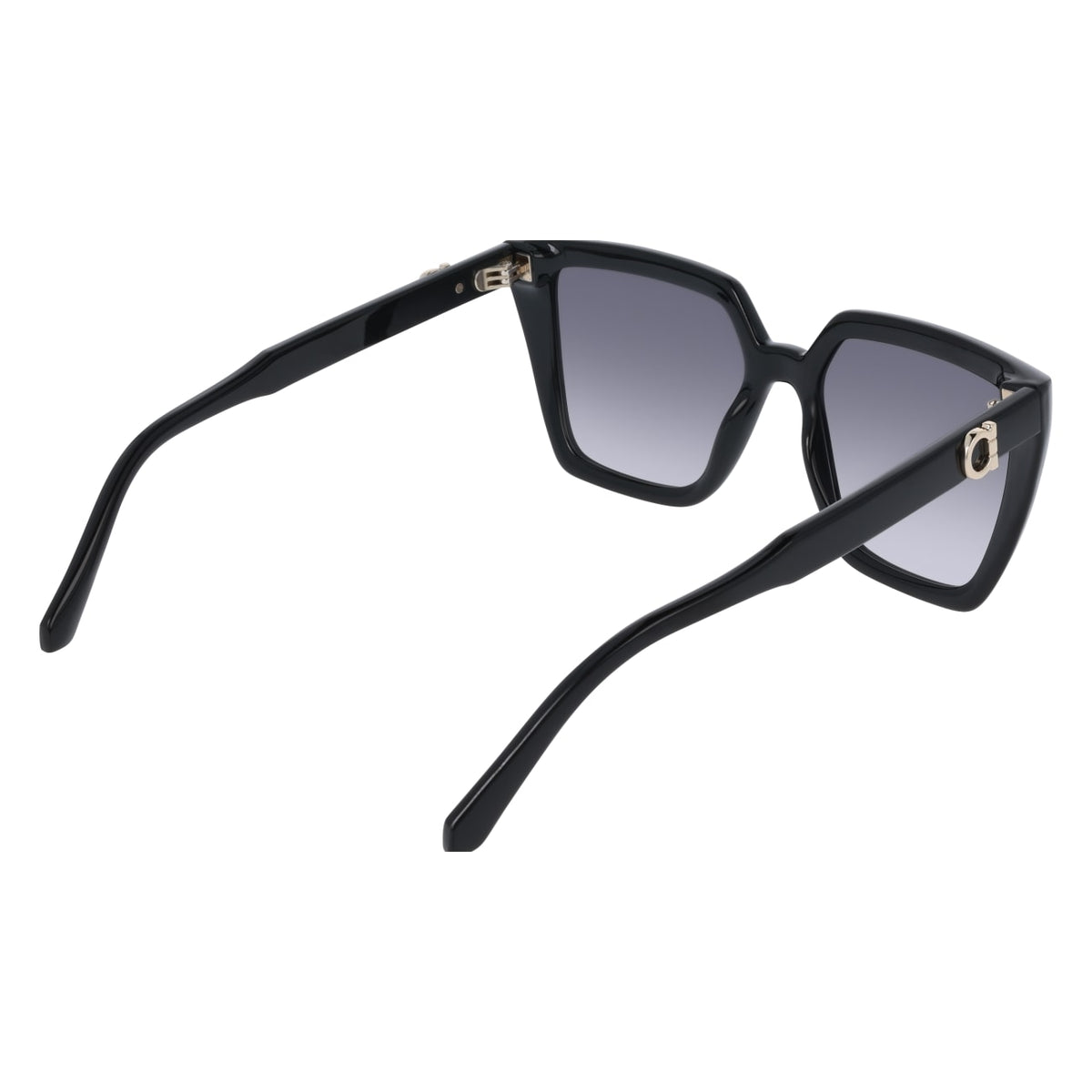 Gafas de Sol Ferragamo SF2058SE 001 54 17
