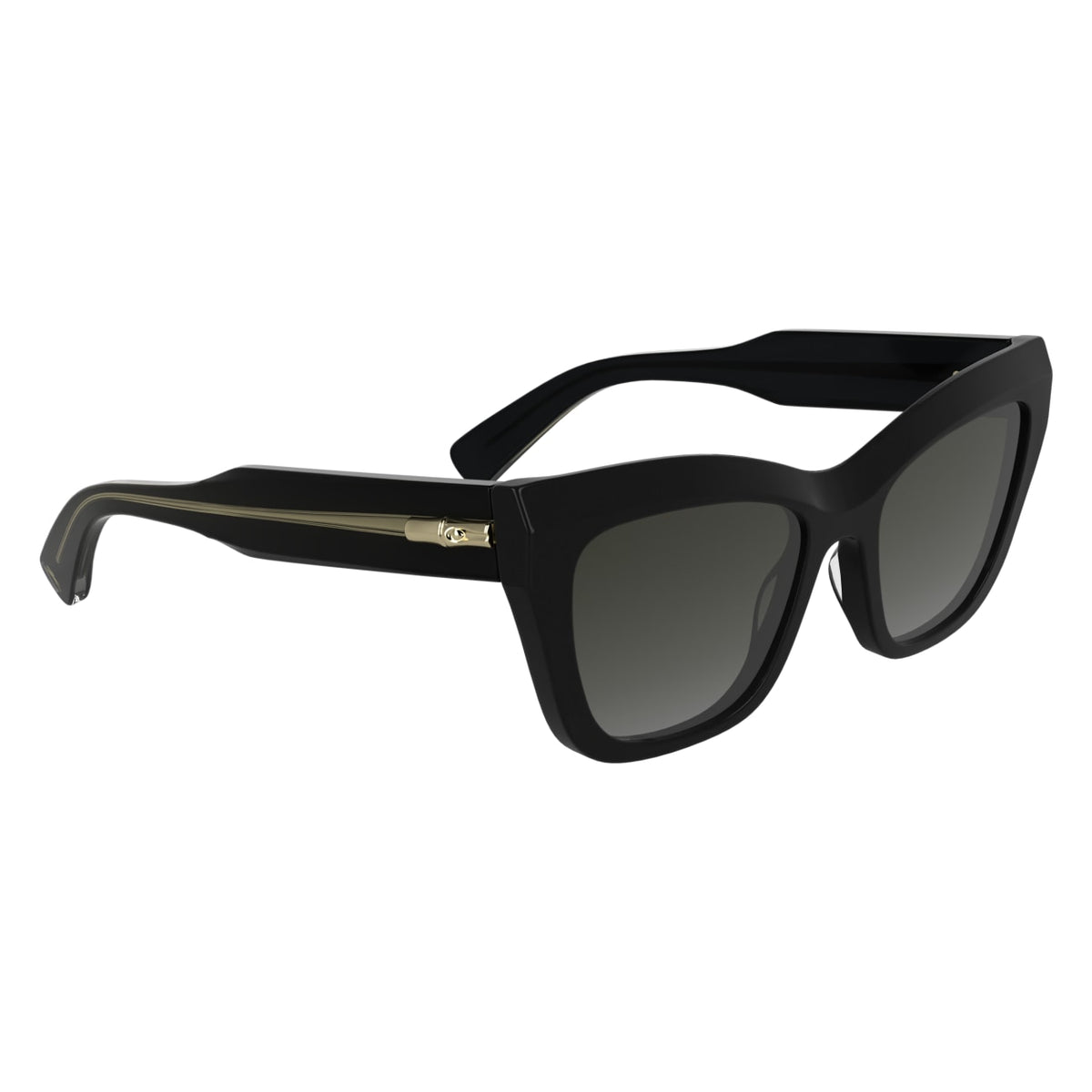 Sunglasses Longchamp LO777S 001 53 19