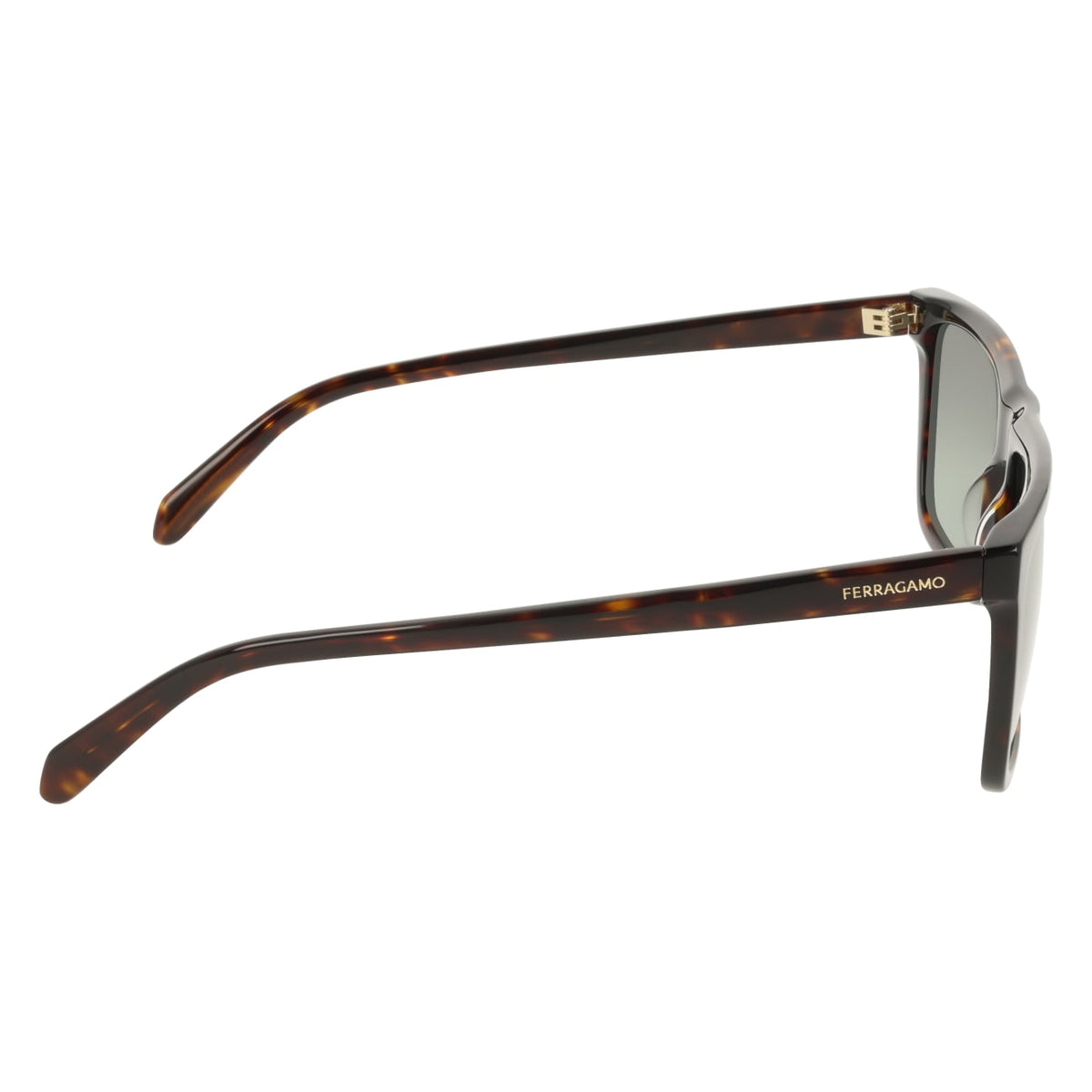 Gafas de Sol Ferragamo SF2123S 242 58 18