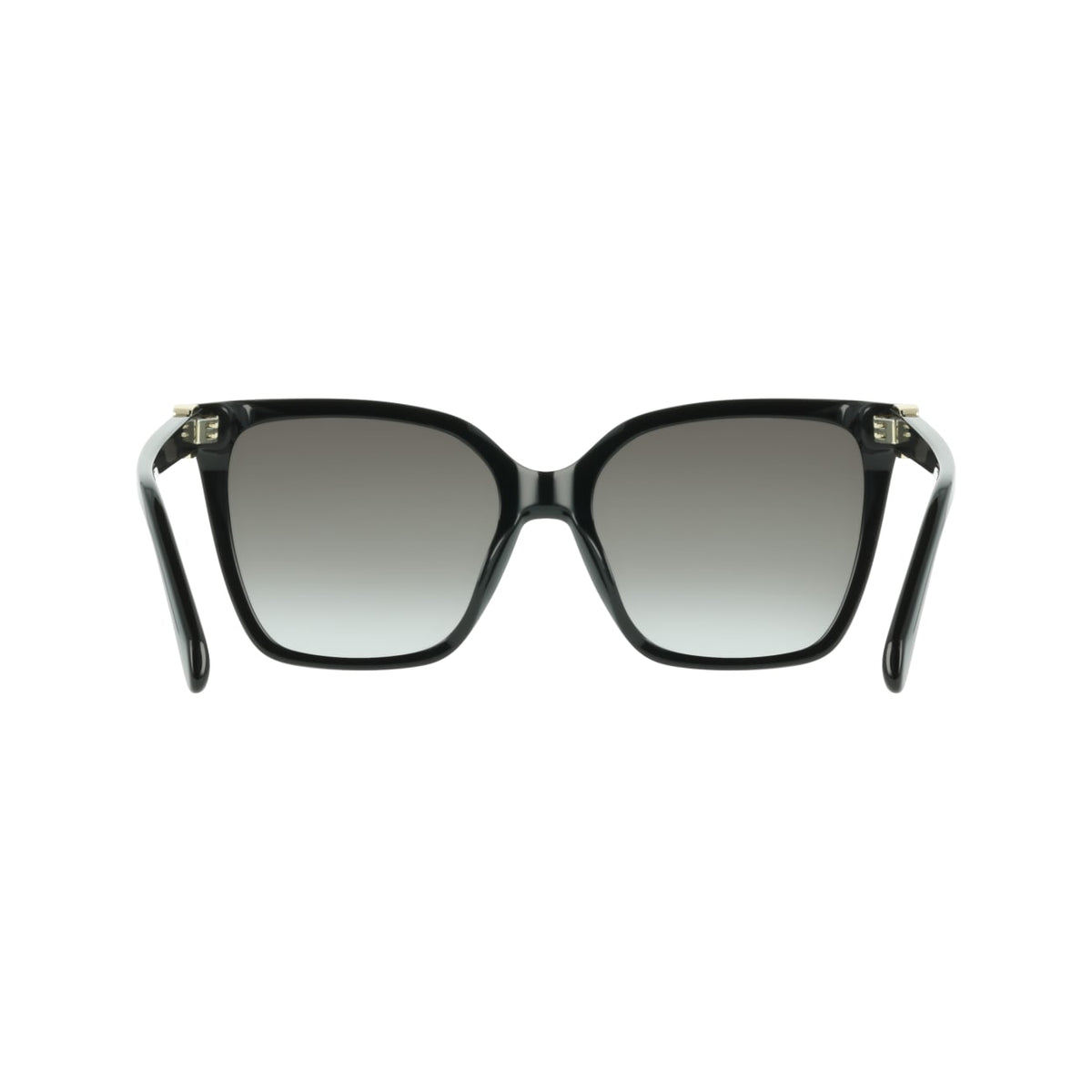 Sunglasses Ferragamo SF2121S 001 57 18