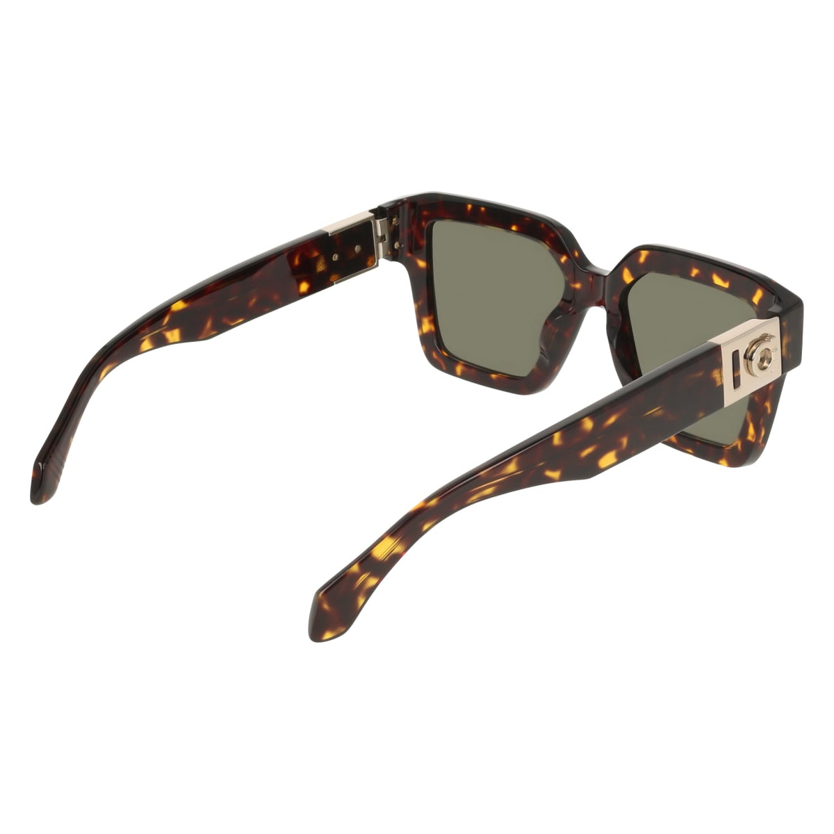 Sunglasses Ferragamo SF2084S 242 53 19