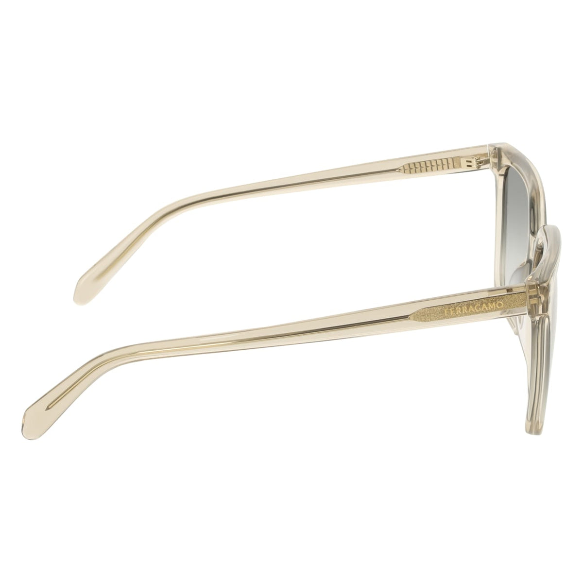 Gafas de Sol Ferragamo SF2102S 313 57 16