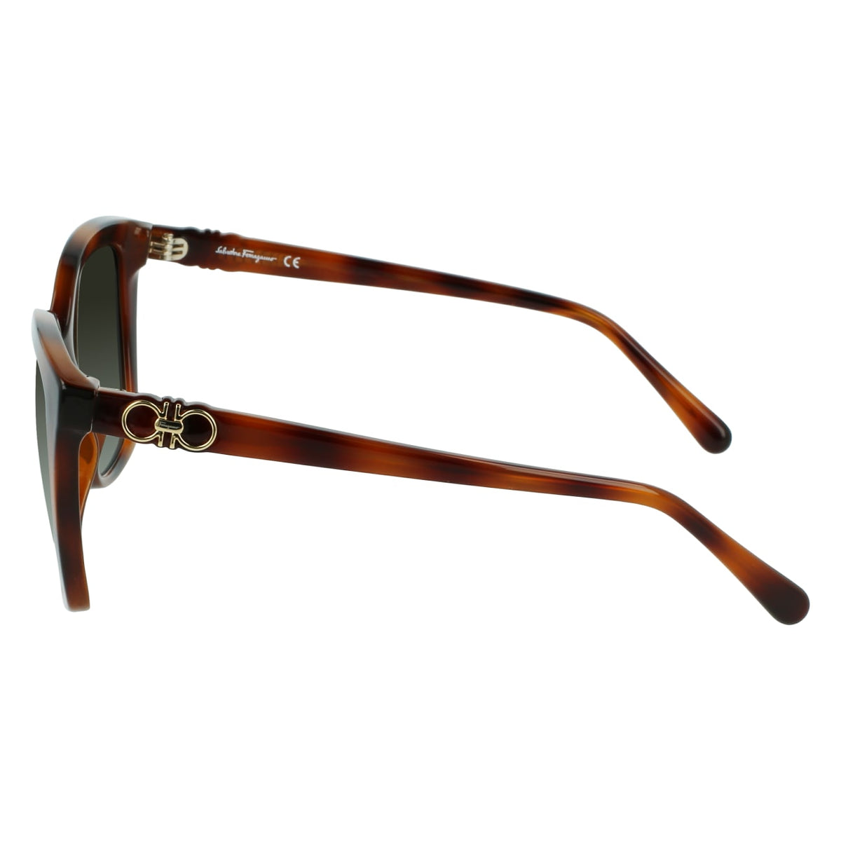 Gafas de Sol Ferragamo SF1026S 214 53.9 19