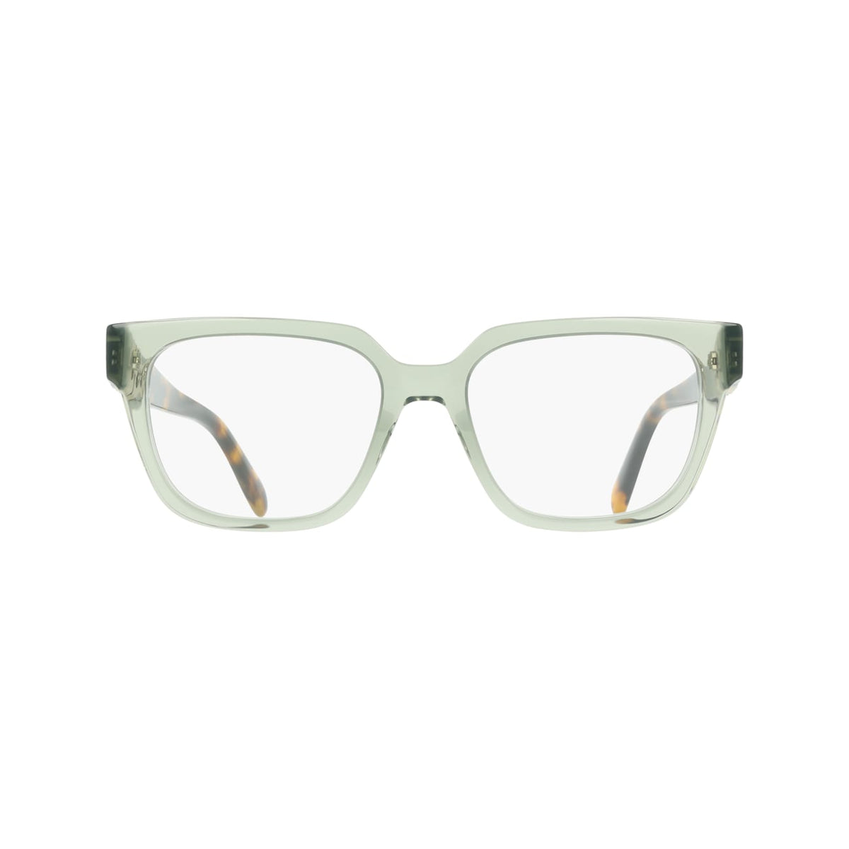 Gafas Graduadas Ferragamo SF3056 313 55 18