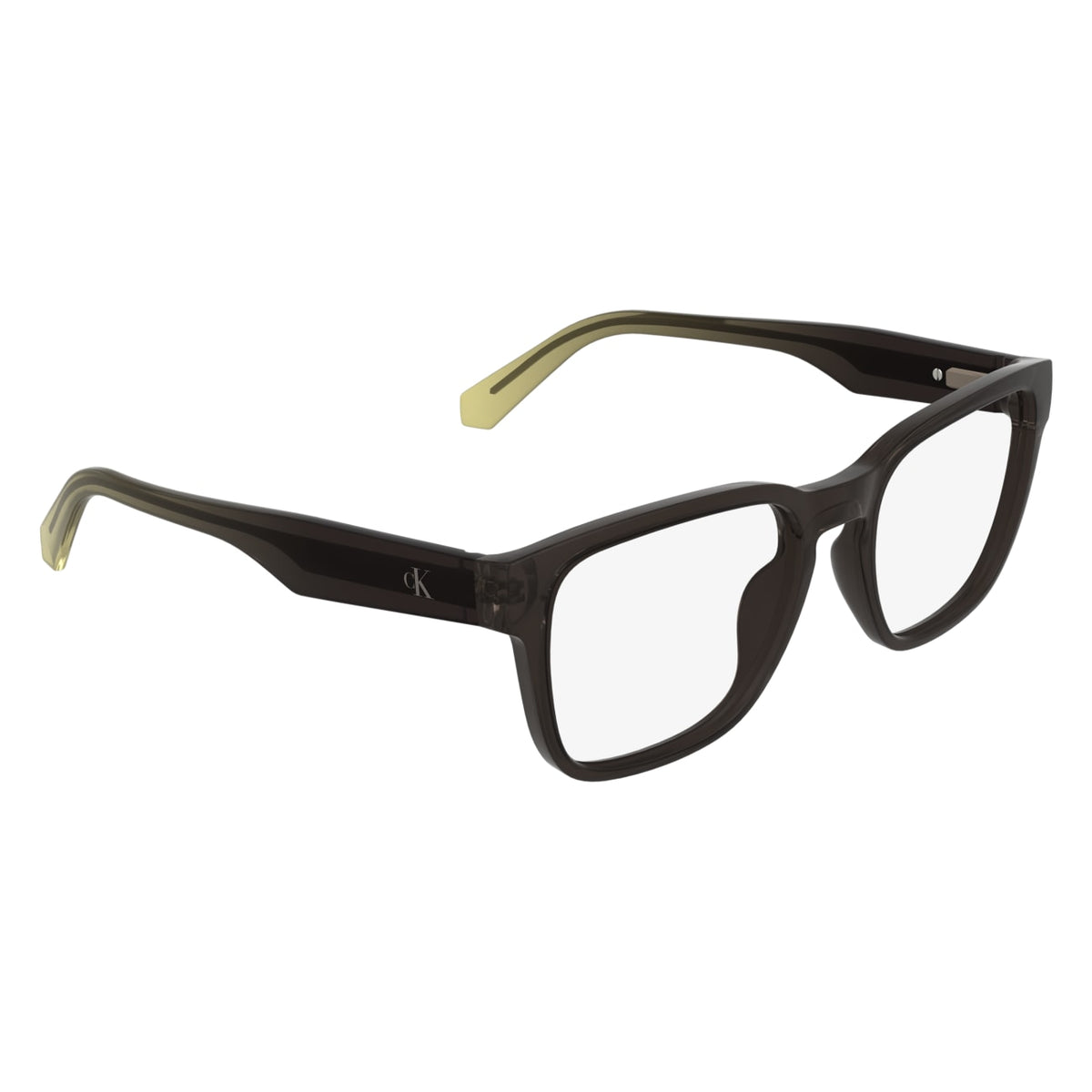 Gafas Graduadas Calvin Klein Jeans CKJ26611 210 54 19