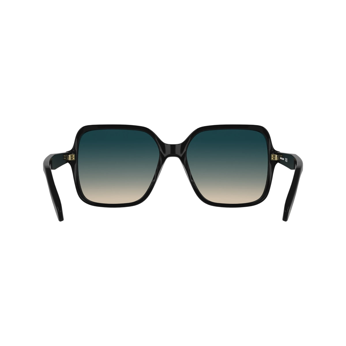 Sunglasses Longchamp LO808S 001 57 17