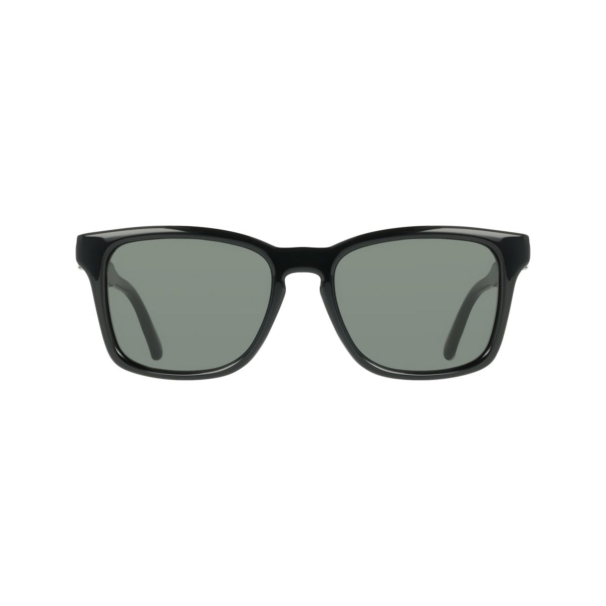 Sunglasses Ferragamo SF2086SE 001 55 19