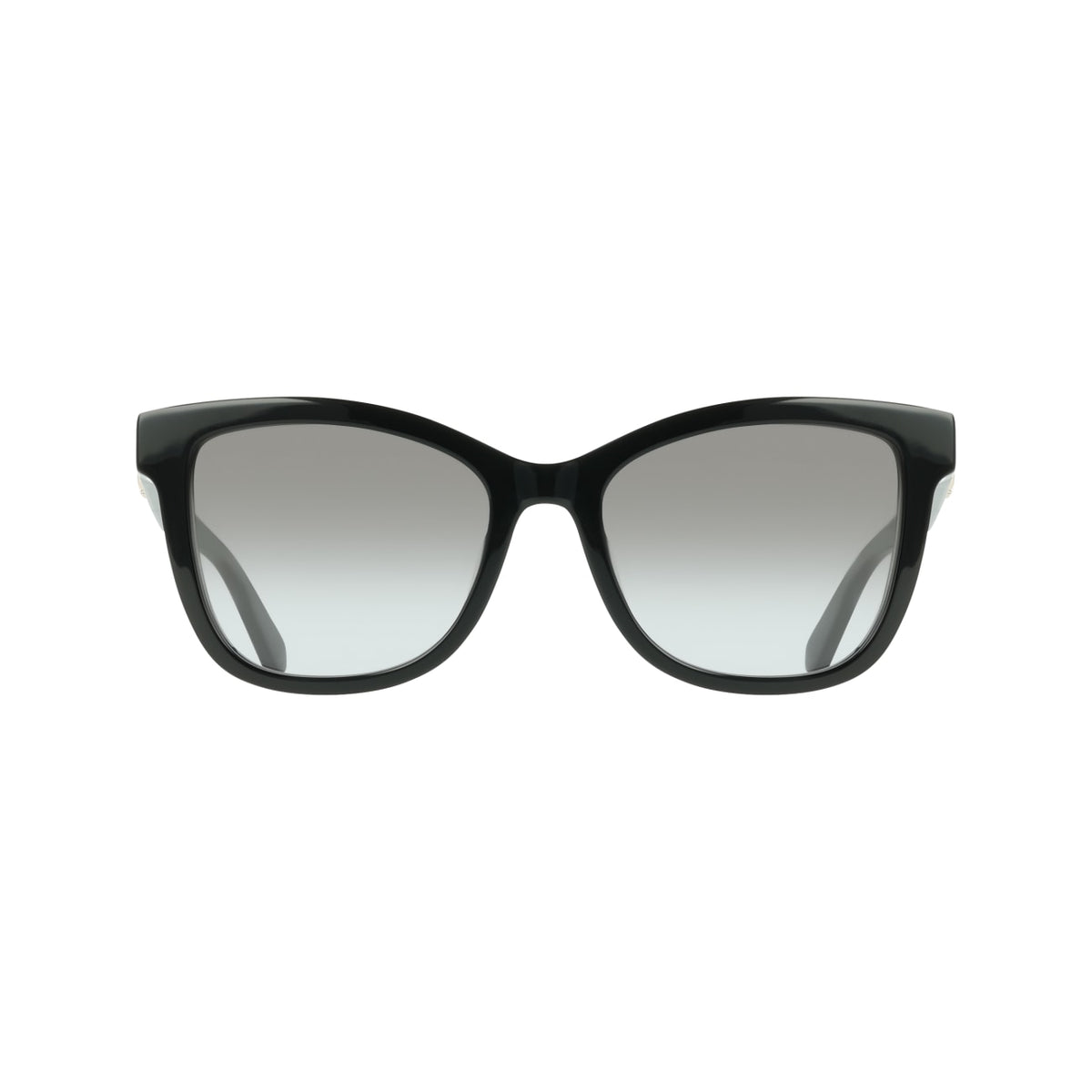 Gafas de Sol Ferragamo SF2108S 001 54 19