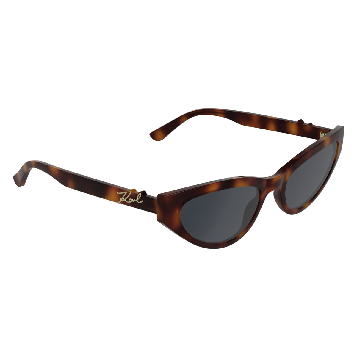 Gafas de Sol Karl Lagerfeld KL6248S 240 54 19
