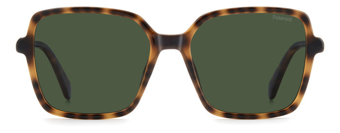 Gafas de Sol Polaroid PLD 4217/S 086UC 56 17