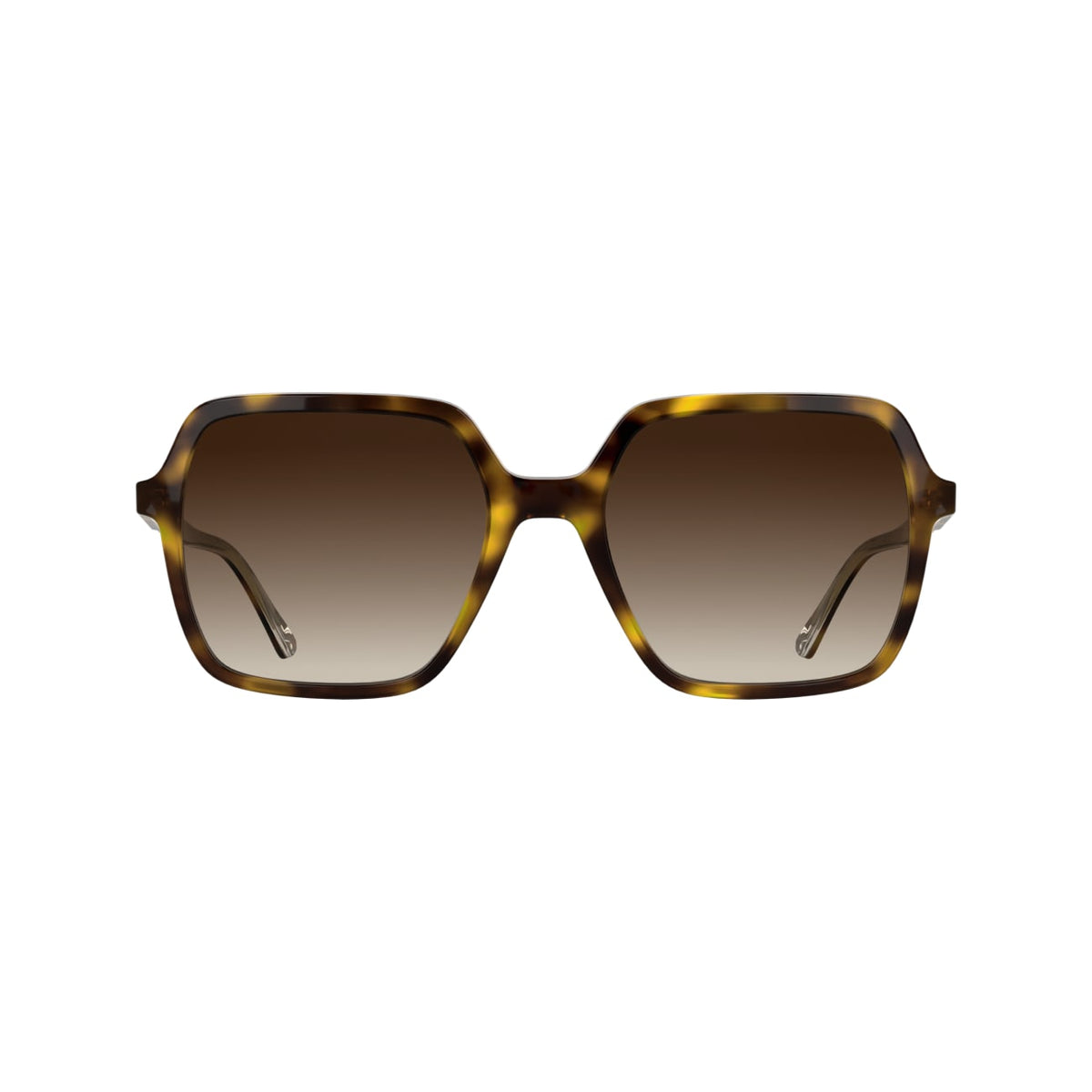 Gafas de Sol Calvin Klein (Ck) CK26531S 240 55 19