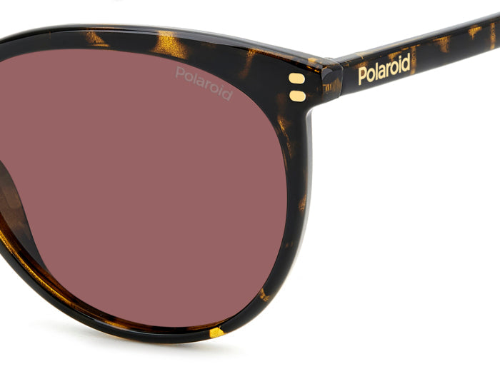 Gafas de Sol Polaroid PLD 6231/S 086KL 55 18