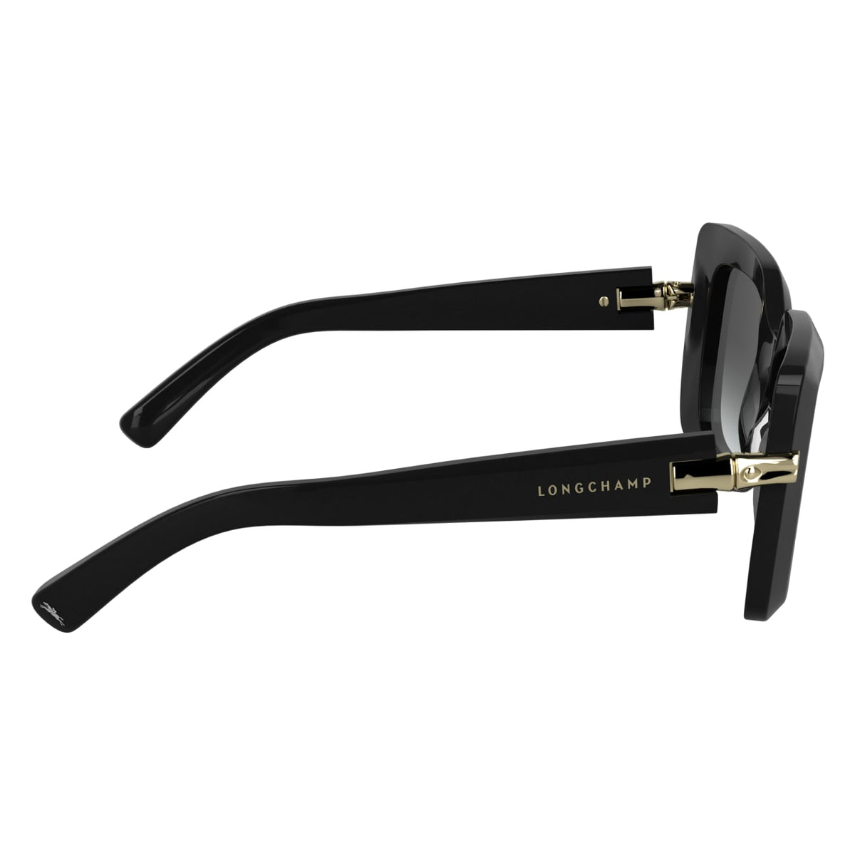 Gafas de Sol Longchamp LO776S 001 50 22