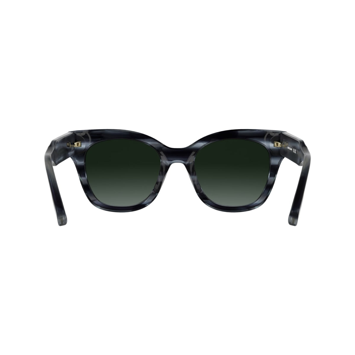 Sunglasses Longchamp LO791S 036 51 21