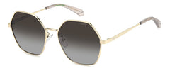 Sunglasses Polaroid PLD 4205/G/S/X 01QLA 56 17