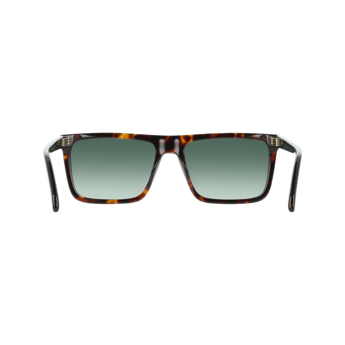 Gafas de Sol Ferragamo SF2123S 242 58 18